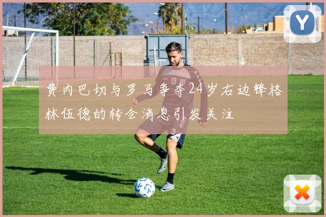 费内巴切与罗马争夺24岁右边锋格林伍德的转会消息引发关注