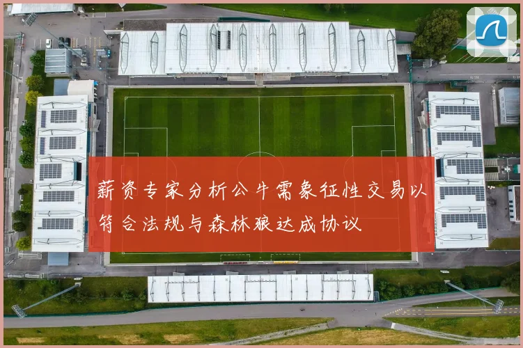 薪资专家分析公牛需象征性交易以符合法规与森林狼达成协议