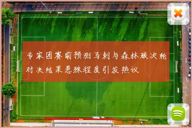 专家团赛前预测马刺与森林狼次轮对决结果悬殊程度引发热议